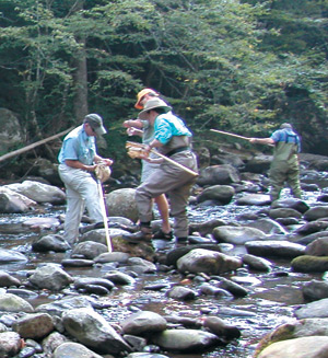 Aquatic Entomology Students in the stream.