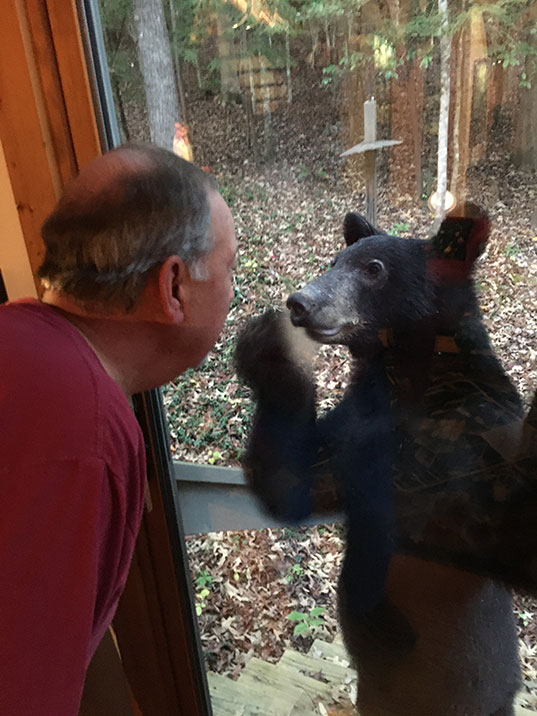 A bear looking inside at Byron at the back door.